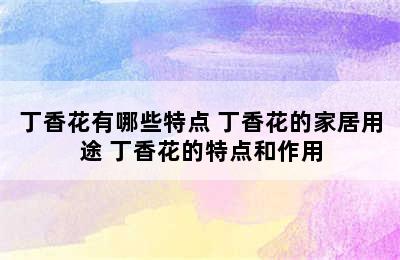 丁香花有哪些特点 丁香花的家居用途 丁香花的特点和作用